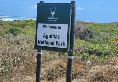 CAPE AGULHAS, WHALE WATCHING IN HERMANUS,PENGUINS,STELLENBOSCH AND WINE TASTING