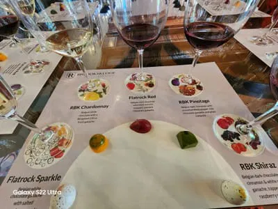 Private Wine Tasting and South African Culture History Tour
